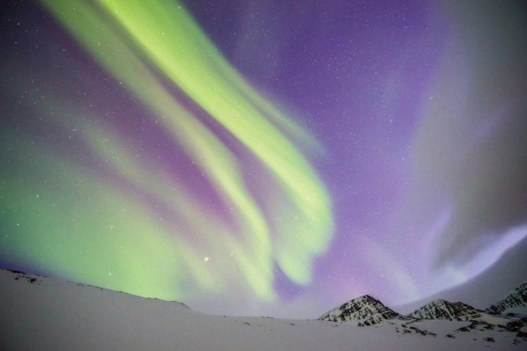 Une aurore boréale aux alentours de Reykjavík - © Istockphoto - coolkengzz