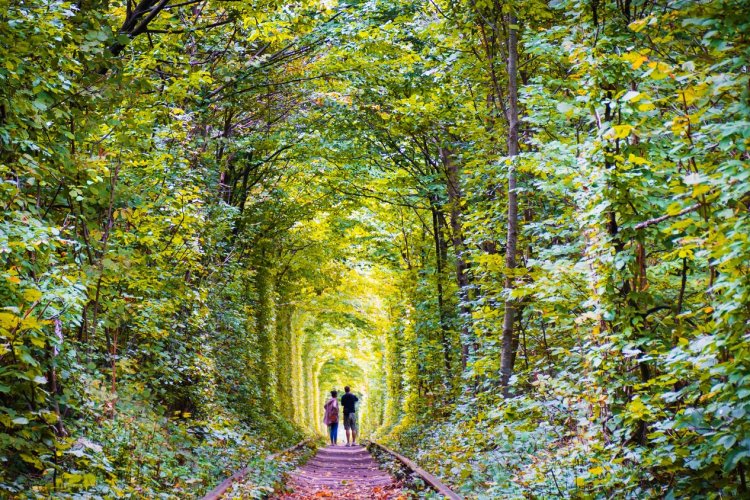 Klevan, le tunnel de l'amour - © Nataliia Trytenichenko