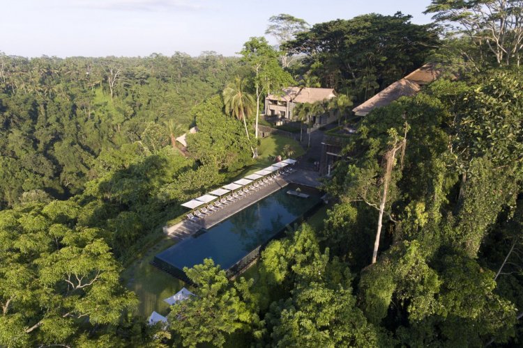 La piscine de l'Alila Ubud - Bali - © Alila Hotels & Resorts