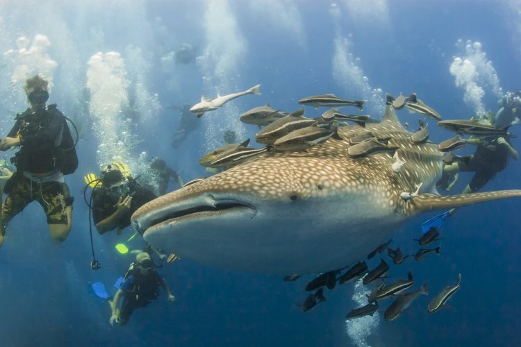Koh Tao - © Outdoorwords - shutterstock.com