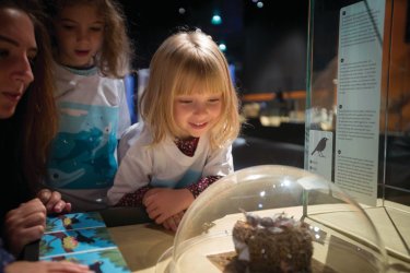 Vacances de Noël ,super programme au Museum...