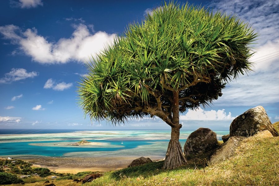 Rodrigues, la perle verte et authentique de l'océan Indien