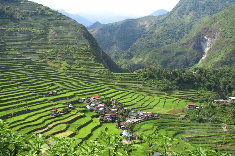 Banaue - © Jonaldm - iStockphoto