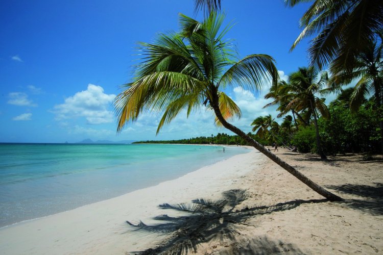 La plage des Salines - © JC Dusanter