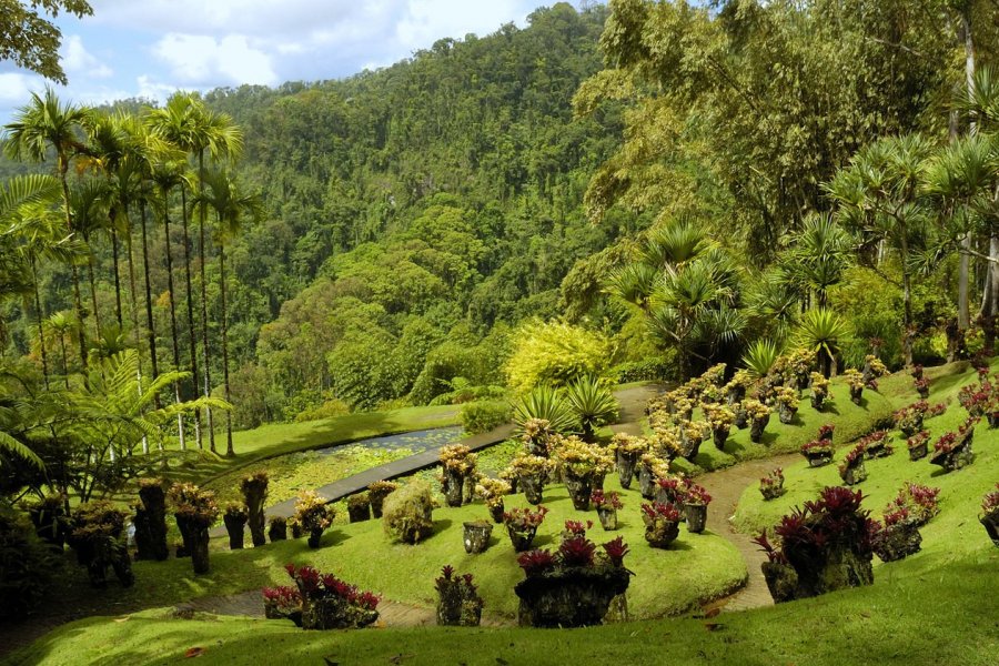guide de voyage, Le jardin de Batala - © Production PERIG - Fotolia