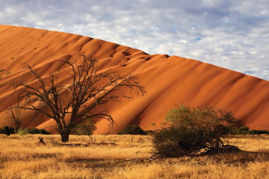 Namibie, une nature spectaculaire au pays des Himbas