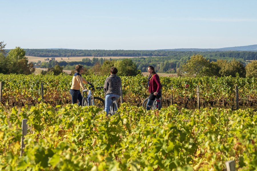 La Nièvre, entre balades, culture et air pur