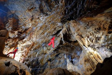 Nouveauté au gouffre de Cabrespine : ouverture prochaine d'un accrobranche