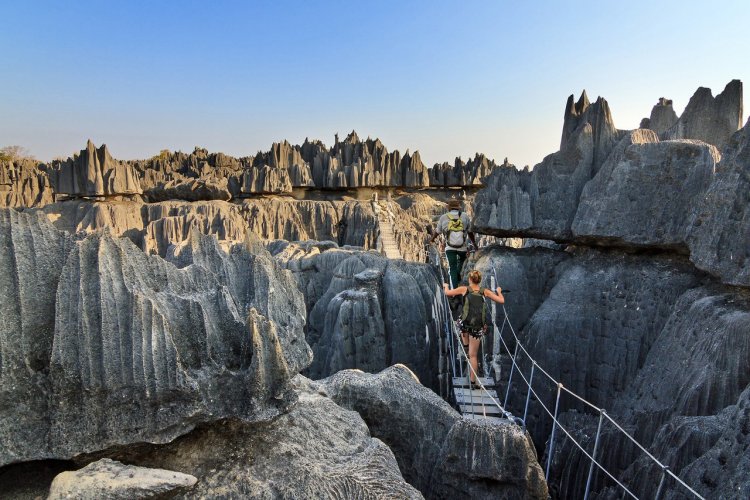Tsingy de Bemaraha - © dennisvdwater