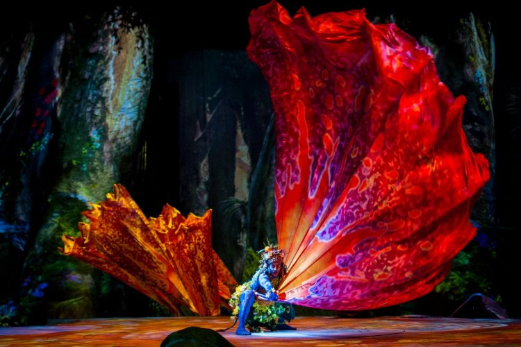 - © Errisson Lawrence © 2015 Cirque du Soleil