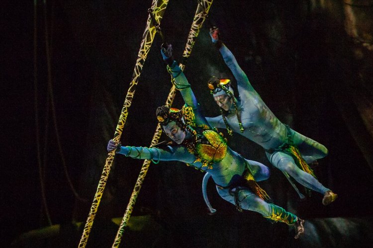 - © Errisson Lawrence © 2015 Cirque du Soleil