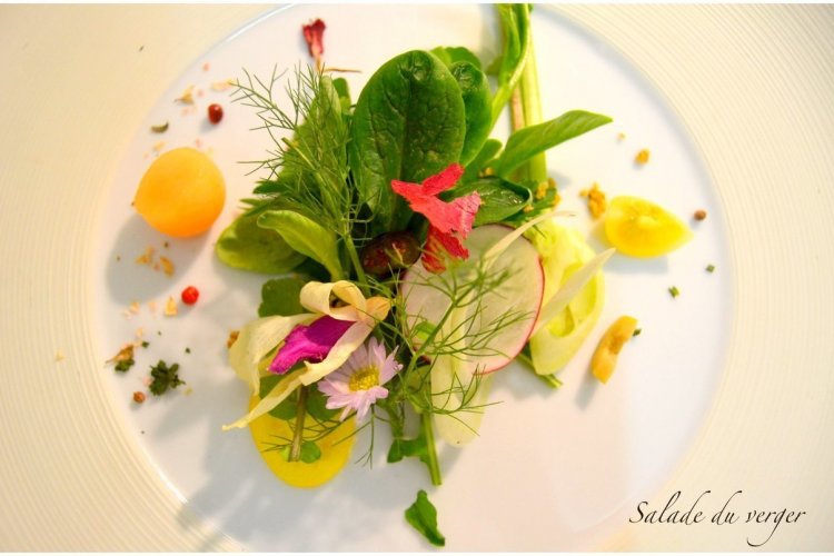 Salade du verger - © La Terrasse