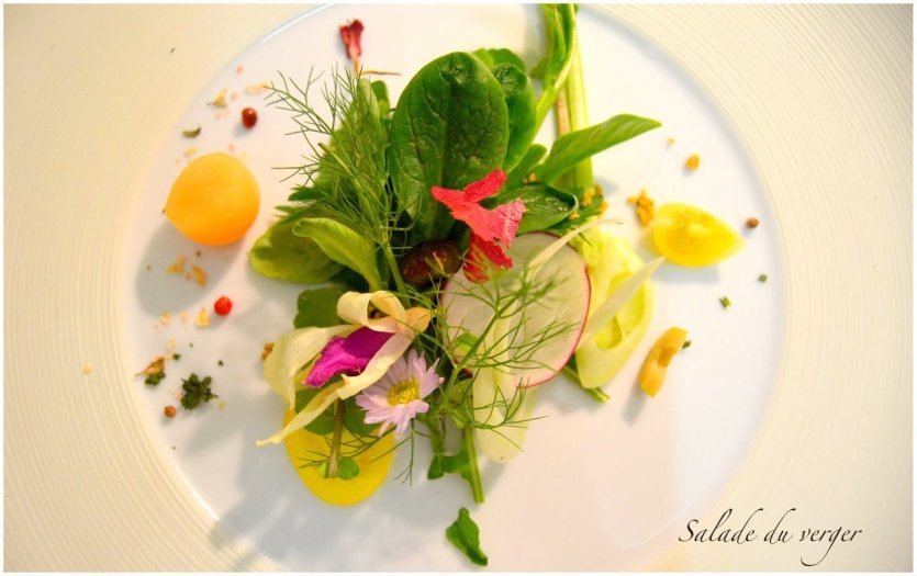 Salade du verger - © La Terrasse