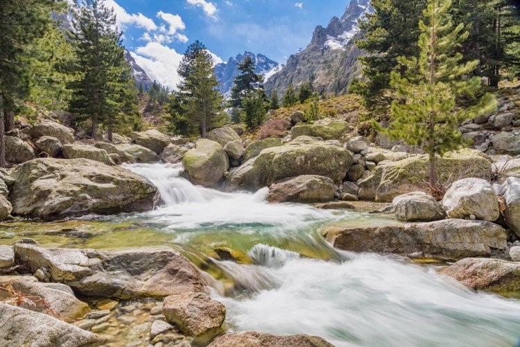 Les gorges de la Restonica - © joningall1