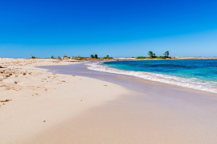 Pink Sand Beach, Bahamas - © Gus Garcia