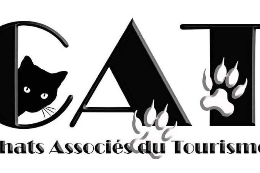 CAT : la mystérieuse association des chats du tourisme