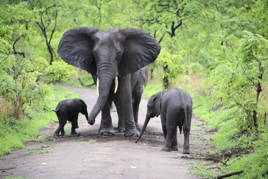 ​​​​​Malawi, safari et culture au coeur de l'Afrique