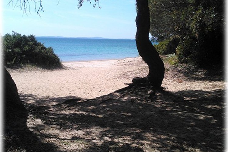 La plage du Pellegrin - © Château Léoube