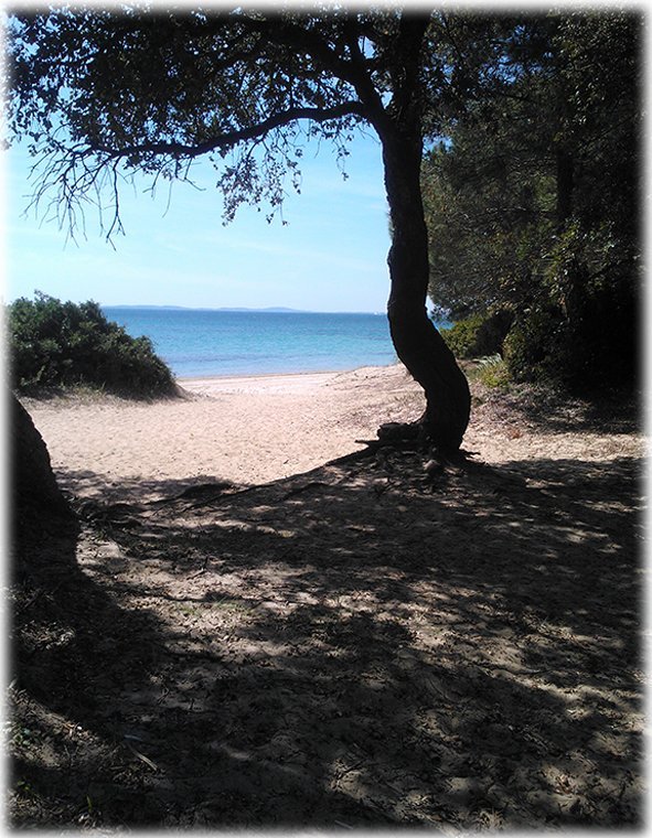 La plage du Pellegrin - © Château Léoube