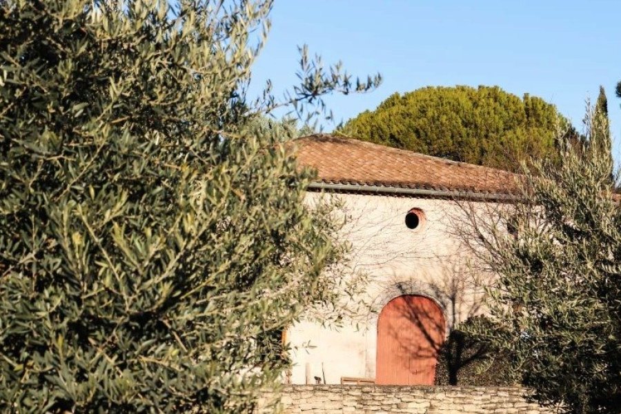 NOUVEAU : Un musée de l'huile d'olive au Domaine de La Royère