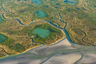 Les incontournables de la baie de Somme