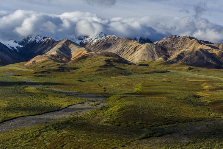 Denali National Park - © Frank Stelges