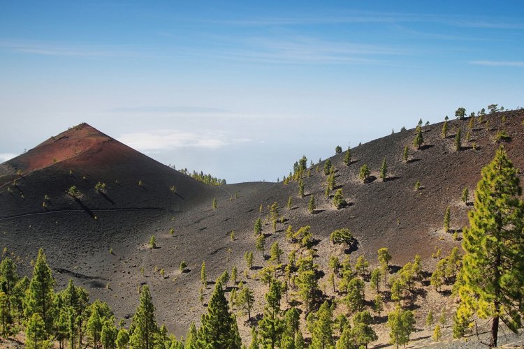 Volcan de l'île de Palma - © Marisa Estivill - Shutterstock.com