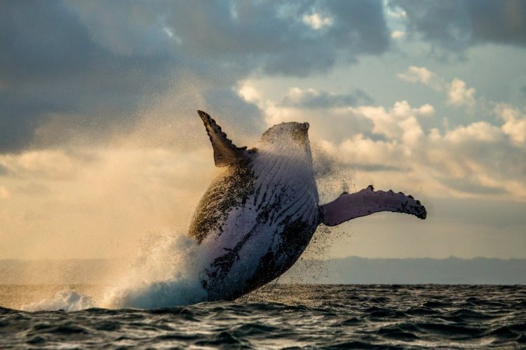 - © shutterstock.com