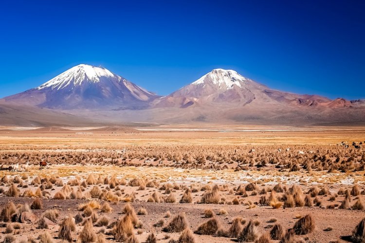 Le parc national Sajama - © aaabbbccc