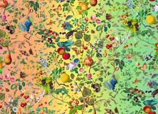 Fruits from the Garden and the Field, rainbow wallpaper (detail). - © Fallen Fruit, 2019.
