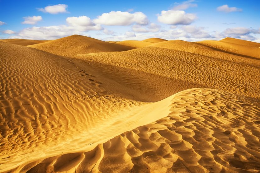 - © Marques - Shutterstock.com