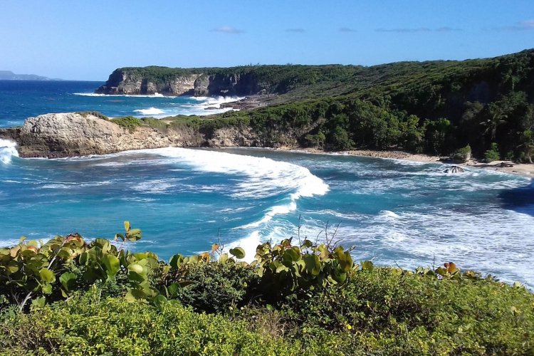 Le Moule, Guadeloupe - © Lacroix Christine - Shutterstock.com