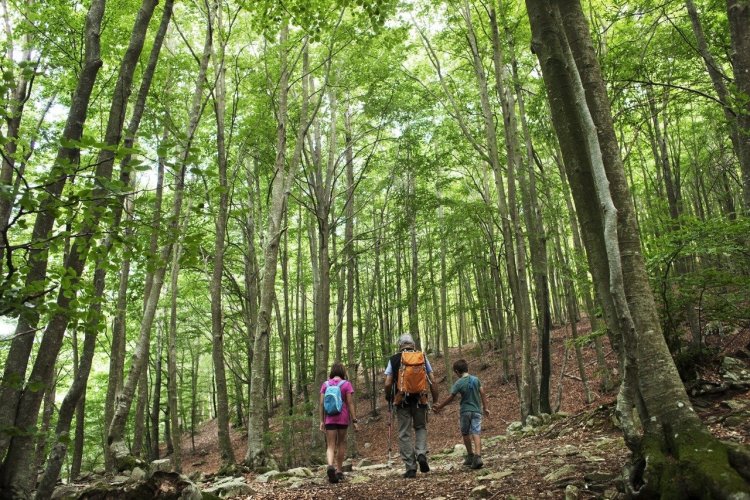 Parc naturel du Montseny - © Oriol Clavera / Copyright Diputació de Barcelona