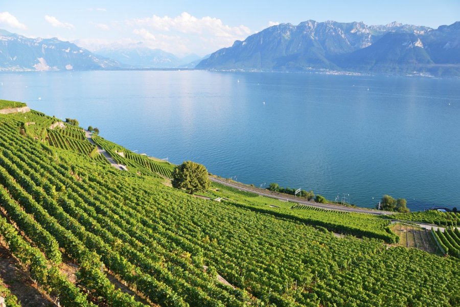 Une échappée belle au bord du Léman : le Lake Geneva Hotel