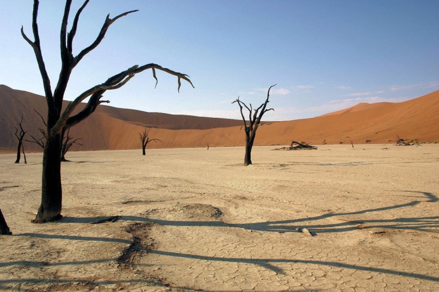 Deadvlei à Sossusvlei