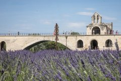 Guide de voyage, Que faire à Avignon ? Les 13 incontournables - © Empreinte d'Ailleurs