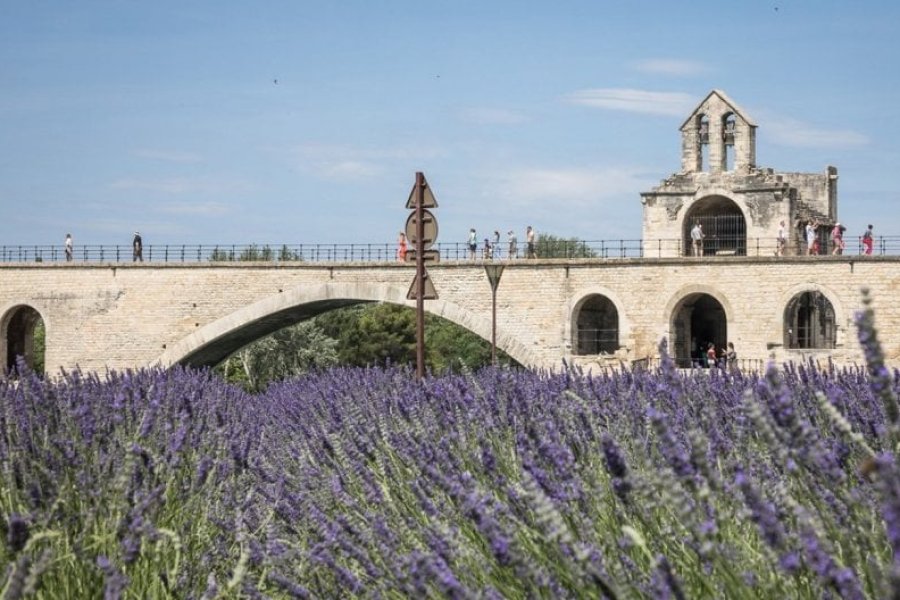 guide de voyage, Le pont Saint-Bénezet - © Empreinte d'Ailleurs