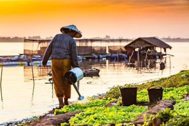 Sur les rives du Mékong, Laos