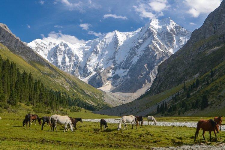 Les montagnes de Tian Shan, Kirghizistan - © n. bird - stock.adobe.com