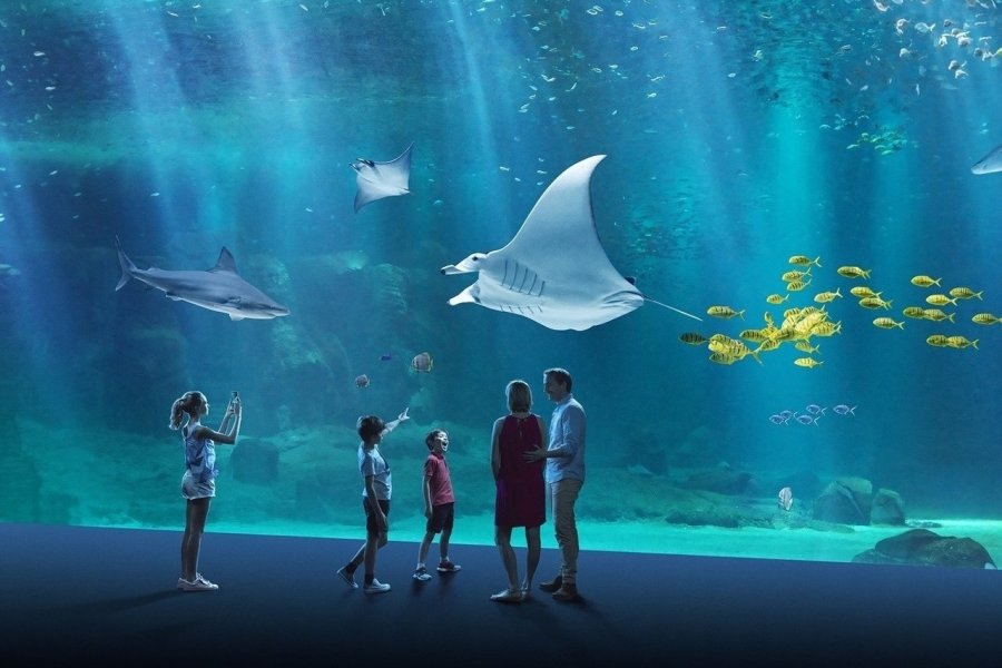 Nausicaá : voyage au coeur de l'océan dans le plus grand aquarium d'Europe