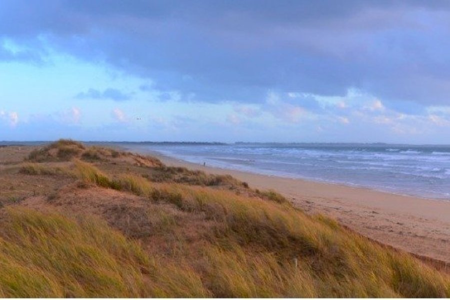 Escapade nature sans voiture de la presqu'île de Gâvres à celle de Quiberon