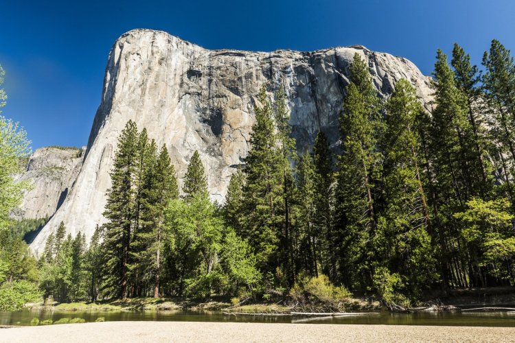 El Capitan - © Filip Fuxa - Shutterstock.com