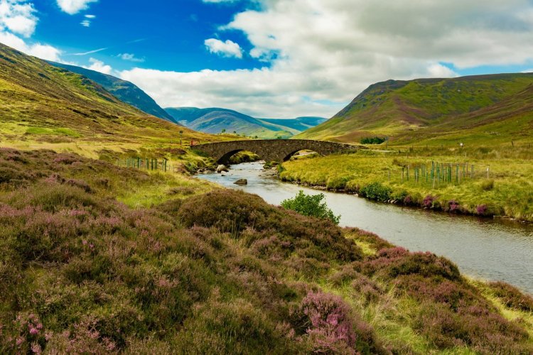 Le parc national de Cairngorms - © Diego Mariottini - Shutterstock.com