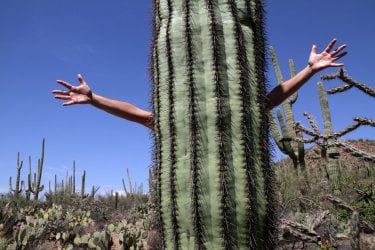 Destination aventure en Arizona avec Bel RTL