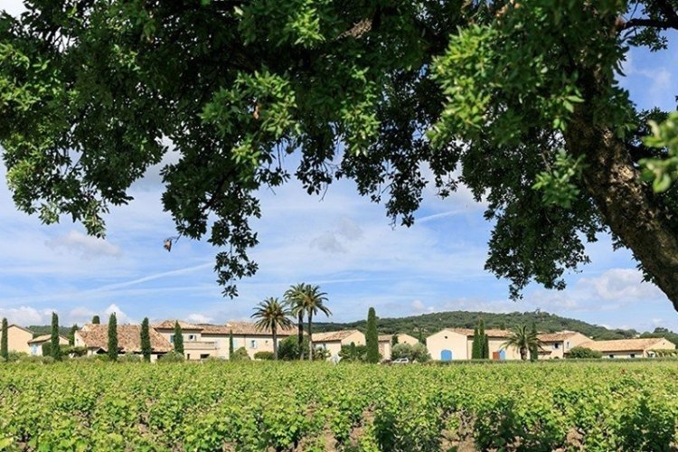 Chateau Des Marres à Ramatuelle - © Les Musicales dans les Vignes
