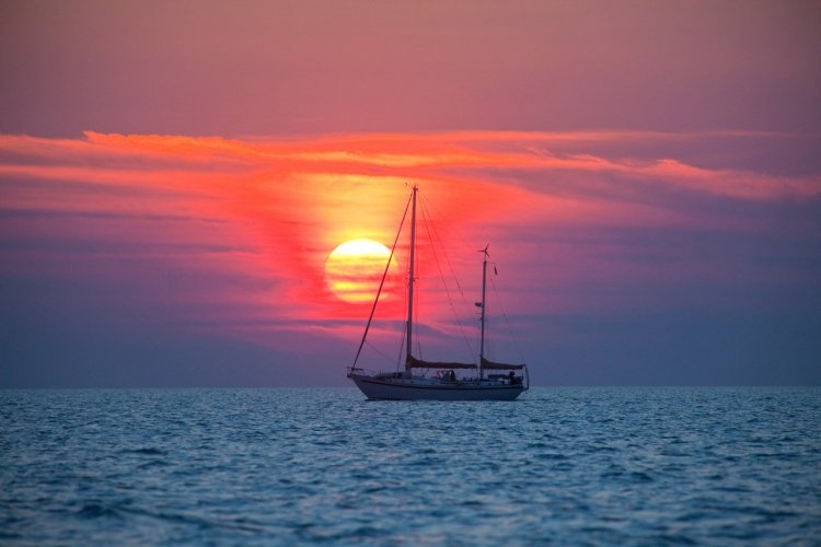 Darwin - © Umomos - Shutterstock.com