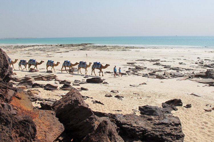 Cable beach - © WITTE - ART.com stock.adobe.com