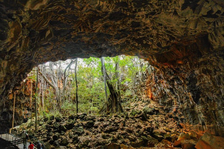 Undara National Park - © Bangkokflame - shutterstock.com