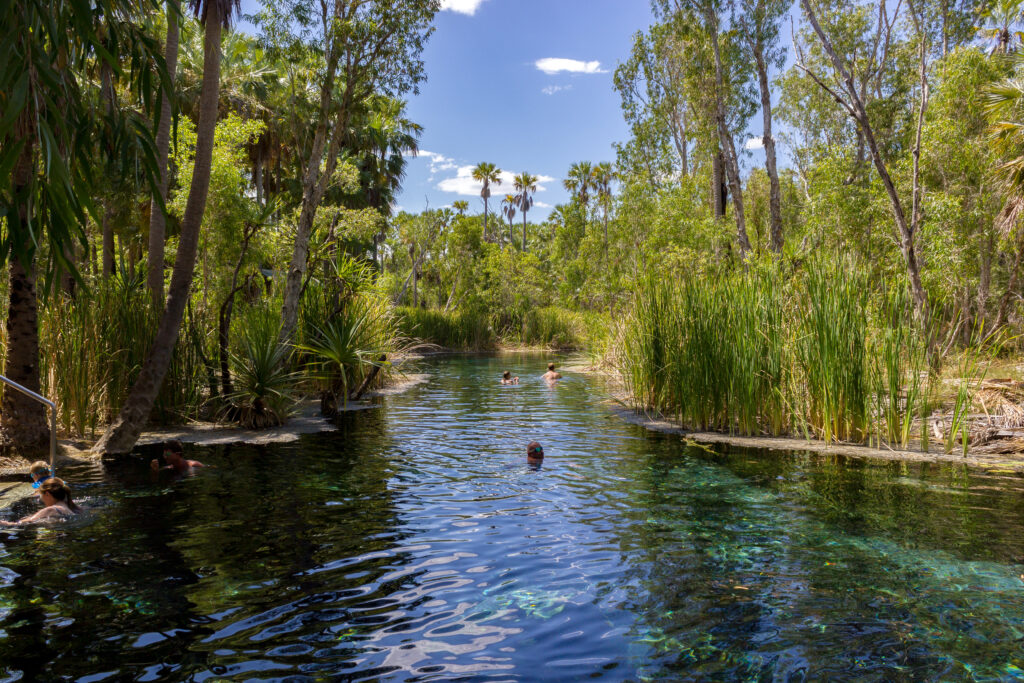 Que voir dans le Nord de l'Australie ?Mataranka