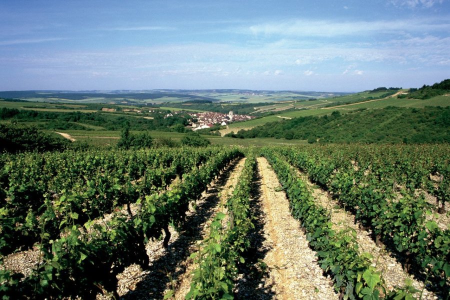 Tradition festive en Bourgogne